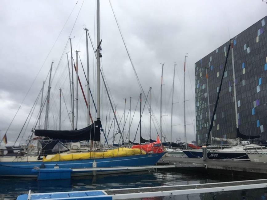 DILL Sicher im Hafen von Reykjavik (Island)