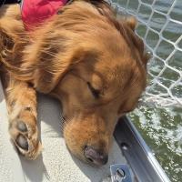 Die erste Seereise der Solsvala