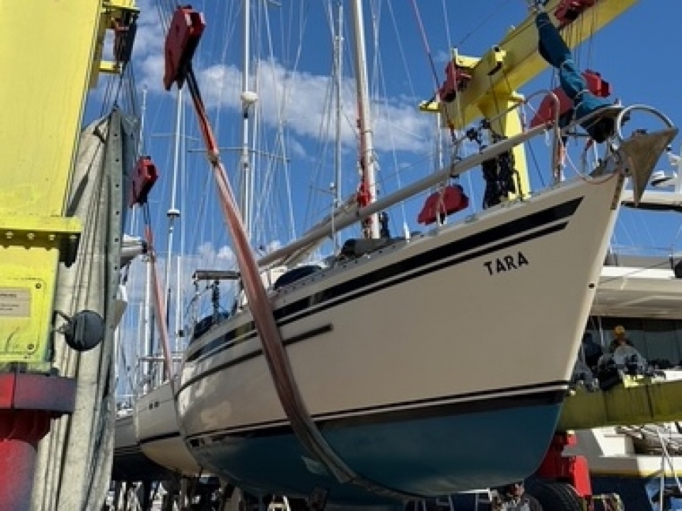 1. Bericht Tara &#039;25